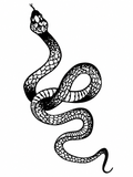 Serpiente - tatuaje semipermanente Línea Clásica AJ Novedades