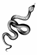Serpiente - tatuaje semipermanente Premium AJ Novedades