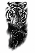 Tigre Oscuro - tatuaje semipermanente Línea Clásica AJ Novedades