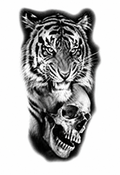 Tigre y Cráneo - tatuaje semipermanente Línea Clásica AJ Novedades